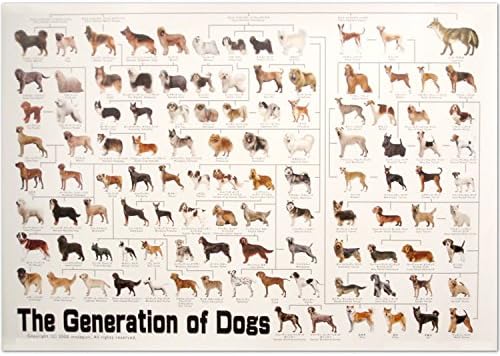 Amazon Co Jp 犬の系統図 血統 ポスター Dog Generation ホーム キッチン