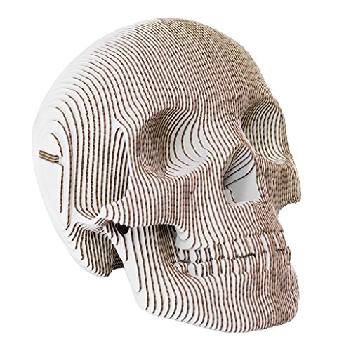 Cardboard Safari Recycled Cardboard Skull 3D Model, Large Vince White