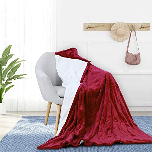 Deckey Electric Blanket, 50" x 60",Fast Heating Blanket, Fast Pain Relief for Back, Neck, Shoulder, Abdomen, 3 Temperature Settings, Anti-overheating Automatic Power Off, Machine Washable