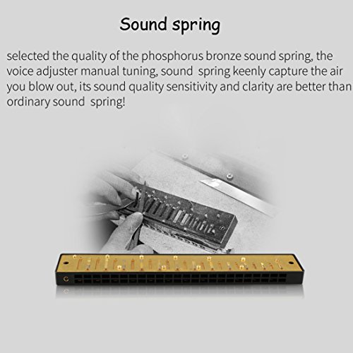 image for Ladnis Harmonica C 24 Holes Mouth Organ Best Gift For Professional Pla