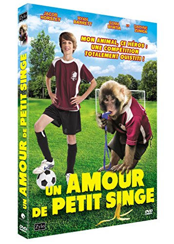 Un amour de petit singe