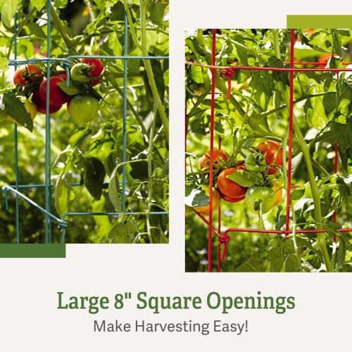 Gardeners Supply CompanySquare Heavy Gauge Extra Tall Easy Fold Tomato