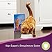 9Lives Protein Plus Dry Cat Food Bonus Bag, 13.2Lb