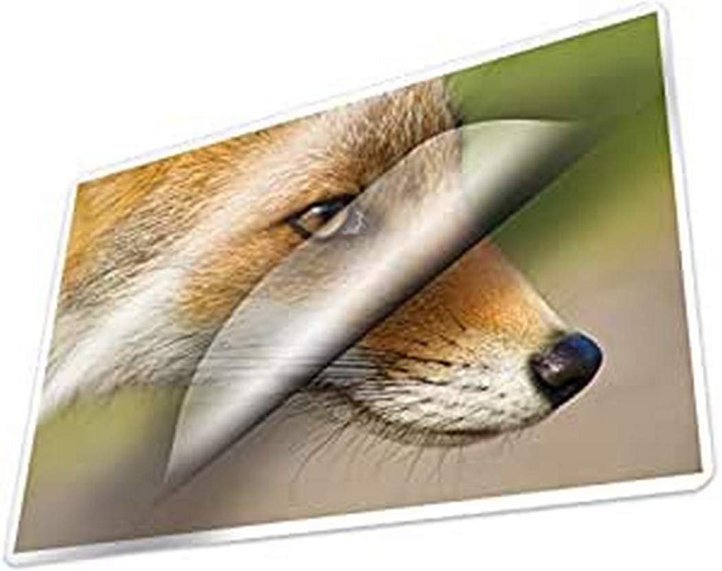 Kangaro Laminating Film A4 216 x 303 mm 125 Micron 100 Sheets