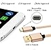 Type C Cable 6ft, X-EDITION Gold-Plated Durable Braided ( USB-A 2.0 to USB-C Male) Fast Charger Cord for LG G6/G5, Moto Z/Play, BLU Vivo 5 XL, Nexus 5X/6P, Samsung Galaxy S8 Plus (Gray, Gold) 2-Pack