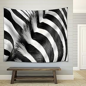 Zebra Fur and Mane - Fabric Wall Tapestry Home Decor - 51x60 inches