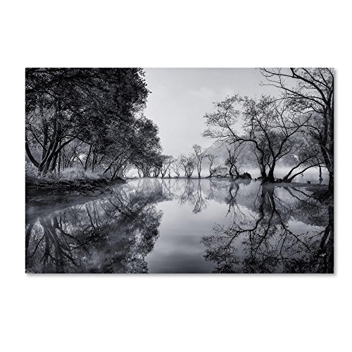 Trademark Fine Art Healing Spot Wall Décor
