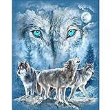 Franterd 25x30cm Lovely Animal Wolf - DIY 5D Diamond Painting By Number Kits - Paint with Diamonds Cross Stitch - Embroidery Crystal Rhinestone Pasted Drilled Arts Craft for Home
