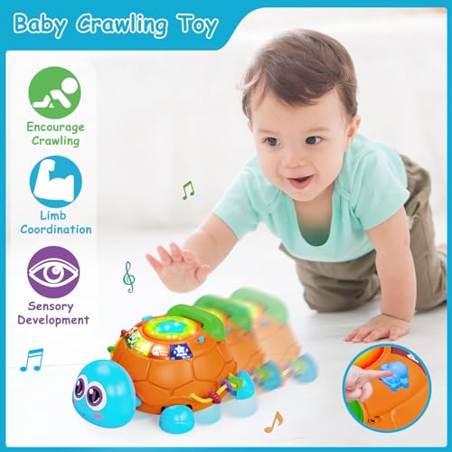 Hanayo Baby Toys 018 Months Musical Turtle Crawling Baby Toys for 612