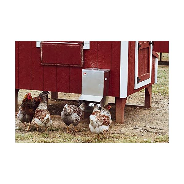 Mounted Metallic Trough Poultry Feeder Waterproof, Chickens/Ducks/Etc