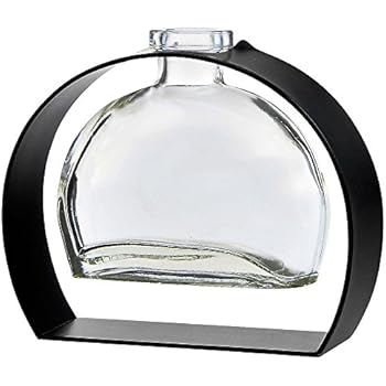 Couronne Company M246-200-00 Fiji Recycled Glass Vase & Arched Metal Stand, Clear, 5