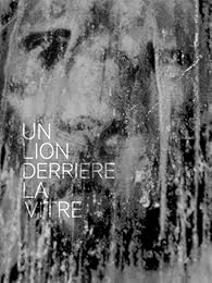 Un  lion derrière la vitre