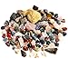 Best Rock Collection. Includes Huge Megalodon Shark Tooth, 2 Large Geodes and 3 LBS. (About 100 specimens) and Identification Chart.