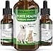 Natural ANTIBIOTICS for Dogs / ANTIBIOTICS Alternative for Pets/ Kennel Cough Medicine for Dogs / UTI Treatment / ANTIBIOTICS for Cats