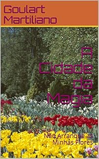 Livro A Cidade da Magia: Porto Rico (Tribo da Terra Livro 3)