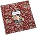 French General Chafarcani Layer Cake 42 10-inch Squares Moda Fabrics 13850LC