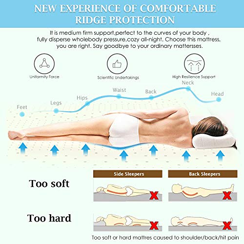 NESAILA 3 Inch Latex Mattress Topper, Natural Latex Bed Pad Topper