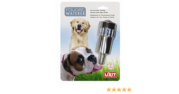 lixit for dogs