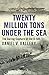 Twenty Million Tons Under the Sea: The Daring Capture of the U-505