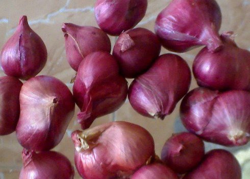 Fresh Purple Shallot ( Pearl Onion) Product of USA 3 packs