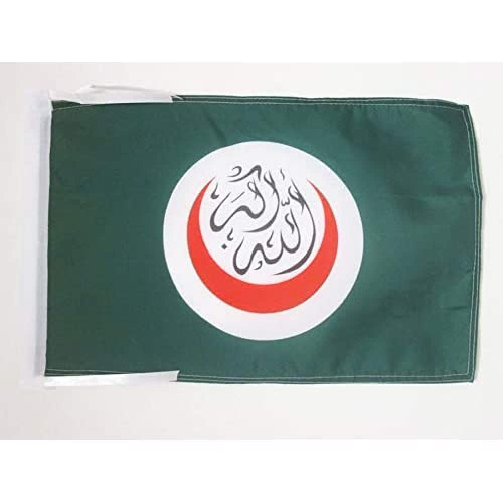 AZ FLAG - Organisation of Islamic Cooperation Flag - 18'' x 12'' - 100% Polyester OIC - musulman Small Banner with Two Cords - Fade Resistant - Vivid Colors - 18x12 in - 45x30 Cm — image 1