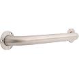 Delta 18-Inch Stainless Steel Bathroom Safety Grab Bar – Exposed Screw Mount, Holds 500 Lbs