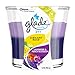 Glade 2in1 Jar Candle Air Freshener, Jubilant Rose & Lavender & Peach Blossom, 2 Candles, 6.8 oz