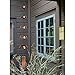 Woodstock Chimes Signature Collection, Woodstock Temple Bells, Quintet (32'') Copper, Wind Bells for Outdoor, Patio, Home or Garden Décor (TB5C)
