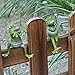 ZAILHWK Planter Pot Hanger Decorations, Frog Flower Pot Resin Creative 3D Craft Frog Figurines Climbing Decoration Animal Ornaments for Office Desk Home Garden Pot Decor,4 pcs