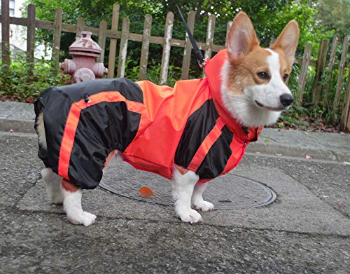 corgi rain jacket