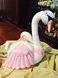 Barbie of Swan Lake 24