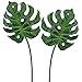 Supla 2 Pcs Aritificial Tropical Palm Leaf Split Philodendron Fake Palm Leaves Artificial Swiss cheese plant Artificial Windowleaf Tropical Vine Leathery Leaf - 30