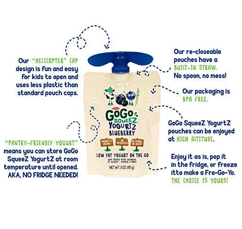 1 GoGo+Blueberry+Portable+BPA+Free+Gluten+Free