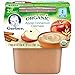 Gerber Organic 2nd Foods, Apple Cinnamon Oatmeal, 2 Count, 3.5 Ounce (Pack of 8)