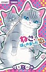 ねこ、はじめました ~ニャンとも気になるニャオ~ 第13巻