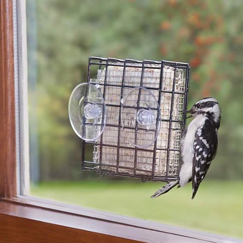Duncraft Window Suet Shield Blocker Feeder Amazon Ca Patio Lawn