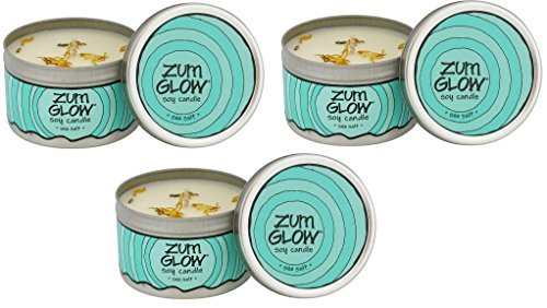 Indigo Wild Zum Sea Salt Glow Soy Candles 3 Pack (3)