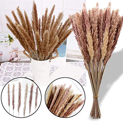 Florales Phragmites Decoración, Ramo Decoración Boho Decoracion Hogar Habitacion Salon Baño, Phragmites Communis Natural Flores Secas For Los Floreros(30PC)