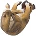 Decorative Drinking Boxer Dog Wine Bottle Holder Statue Display Stand Countertop Rack Table Centerpiece for Home Bar or Kitchen Counter Décor As Whimsical Gifts for Pet Lovers