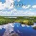 Florida Wild & Scenic 2020 7 x 7 Inch Monthly Mini Wall Calendar, USA United States of America Southeast State Nature (English, Spanish and French Edition) by 