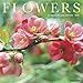 Flowers 2020 Wall Calendar by 