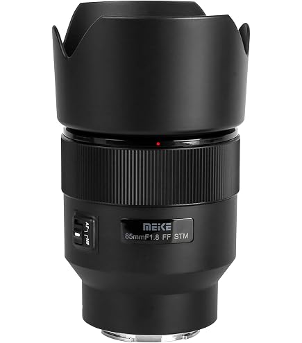 Lente DX 55-300mm F/4.5-5.6G ED VR, Nikon 123508, Preto | Amazon