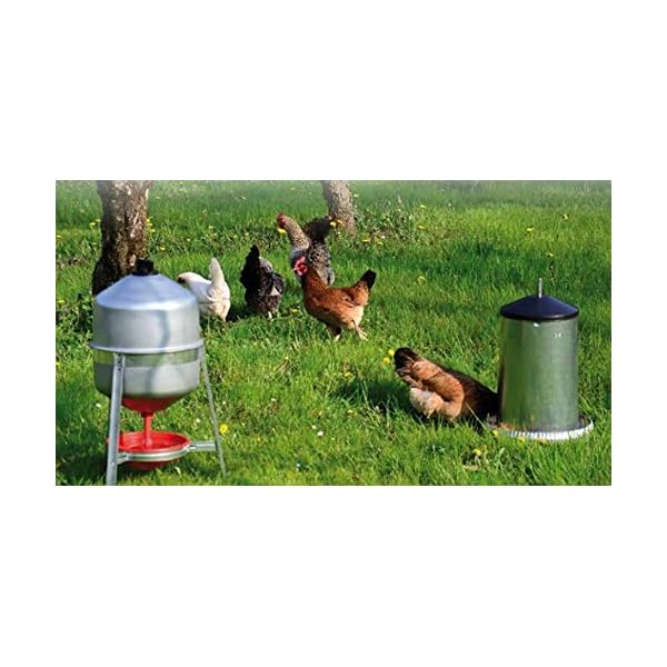 Abbeveratoio per Galline, polli a sifone in lamiera da Litri 30 Circa e Mangiatoia a tramoggia in lamiera con Coperchio…