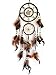 Dream Catcher with Feathers Hanging