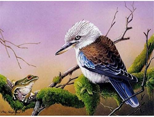 NOveltyhua DIY Diamond Embroidery 5D Diamond Painting Diamond Mosaic Cross Stitch Parrot Stickers Round Drill 20x30cm