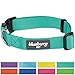 Blueberry Pet Essentials X-Small Dog Collar in Emerald | Adjustable & Eco-Friendly Durable Nylon Strap | Classic Collar for X-Small Dogs, Boy & Girl Pets