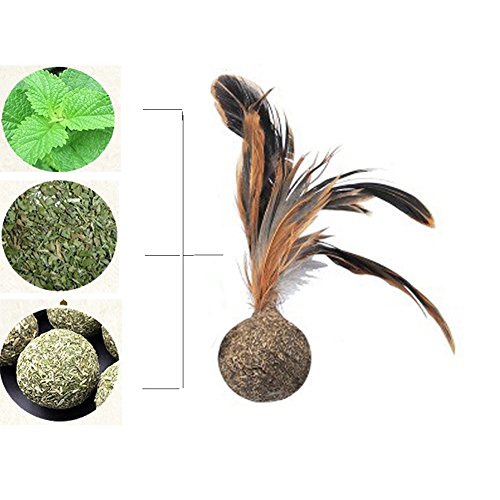 Catnip Toy Feathers Interactive Cat Toys Feather Shuttlecock Pet Cat Chewing Tease Toy