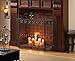 Zingz & Thingz 3 Panel Decorative Iron and Mesh Metal Fireplace Screen, French Revival, 26.375x10x33.25