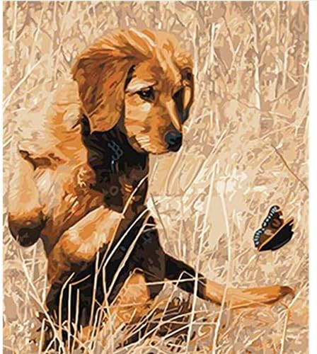 Amazon Co Jp Sykdybz 油絵の具diyの絵画は 犬の家の飾りの数で色分けして家の壁のアート おもちゃ