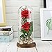 MISBEST Beauty and The Beast Rose, Enchanted Rose Artificial Silk Rose Flower in Glass Dome with LED Light Wooden Base for Valentine's Day Wedding Anniversary Birthday Gift